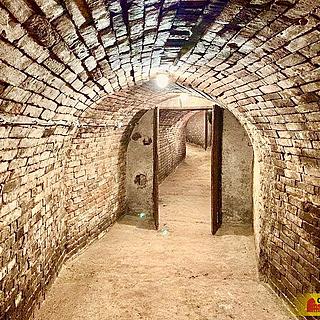 Prodej vinného sklepa 145 m² Nový Šaldorf-Sedlešovice