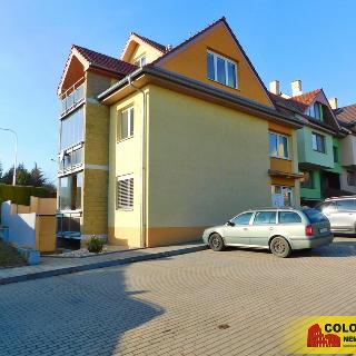 Prodej bytu 1+kk a garsoniéry 45 m² Moravany, 