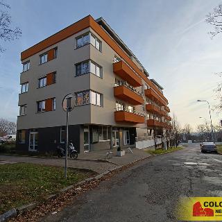 Pronájem bytu 2+kk 47 m² Brno, 