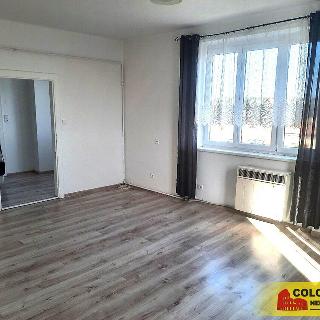 Pronájem bytu 1+1 42 m² Znojmo, 