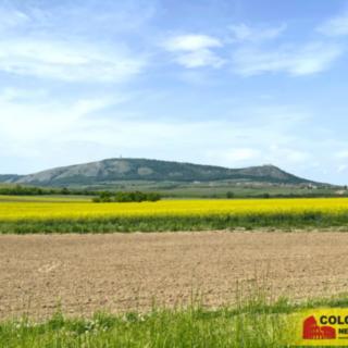 Prodej stavební parcely 1 132 m² Pavlov, 