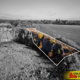 Prodej ostatních pozemků 1036 m&sup2; Šošůvka