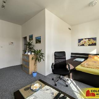 Pronájem bytu 1+1 46 m² Boskovice, 