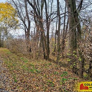 Prodej stavební parcely 3392 m&sup2; Rousínov