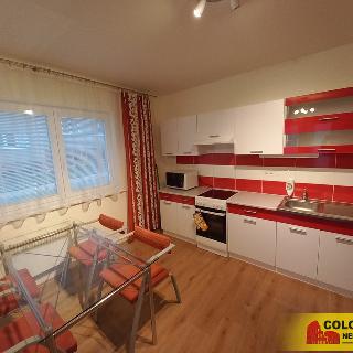 Pronájem bytu 2+kk 48 m² Letovice, 