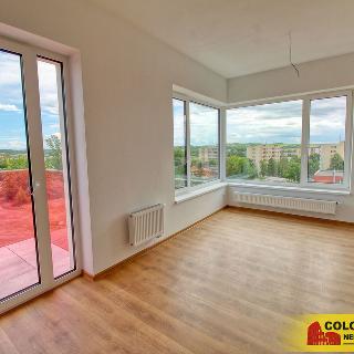 Pronájem bytu 3+kk 53 m² Znojmo, Vídeňská třída