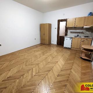 Pronájem bytu 1+kk a garsoniéry 25 m² Židlochovice, 