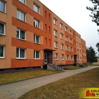 Prodej bytu 3+1 78 m² Letovice, 