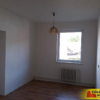 Pronájem bytu 1+kk a garsoniéry 43 m² Lysice, 