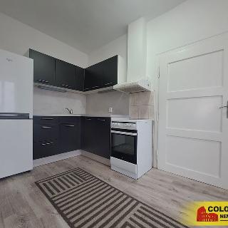 Pronájem bytu 1+1 42 m² Znojmo, 