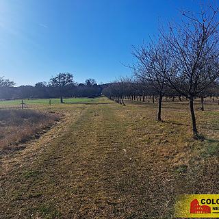 Prodej zemědělské půdy 4979 m&sup2; Štěchov