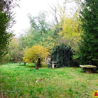 Prodej zahrady 482 m² Dyje