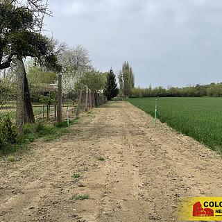 Prodej ostatních pozemků 507 m&sup2; Koryčany