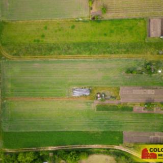 Prodej zemědělské půdy 2647 m&sup2; Brod nad Dyjí