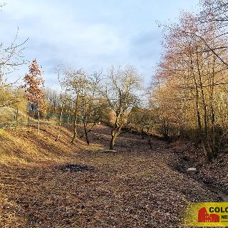 Prodej stavební parcely 1 331 m² Ludkovice, 