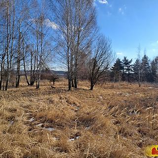 Prodej komerčního pozemku 15899 m&sup2; Šafov