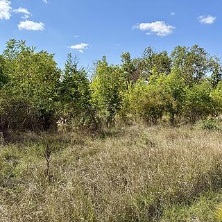 Prodej komerčního pozemku 21190 m&sup2; Znojmo