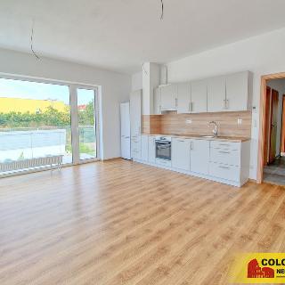 Pronájem bytu 4+kk 106 m² Znojmo, Vídeňská třída