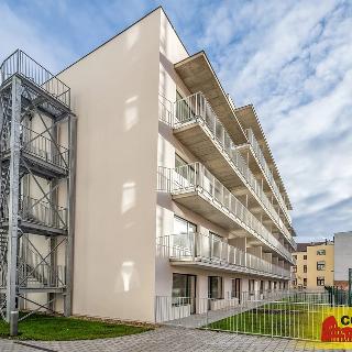 Pronájem bytu 1+kk a garsoniéry 33 m² Brno, 