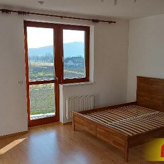 Pronájem bytu 2+kk 53 m² Lipůvka, 