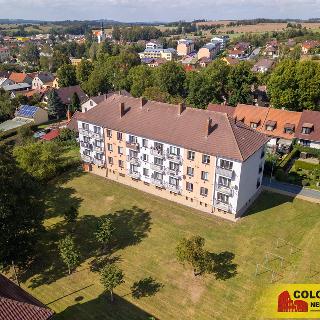 Prodej bytu 3+1 70 m² Polná, 