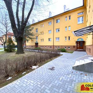 Prodej bytu 2+1 59 m² Dubňany, 