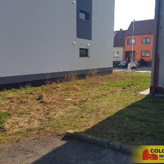 Prodej zahrady 231 m² Velké Bílovice, 