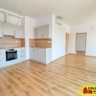 Pronájem bytu 3+kk 68 m² Znojmo, Vídeňská třída