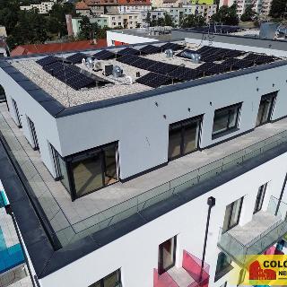 Pronájem bytu 4+kk 96 m² Znojmo, Vídeňská třída