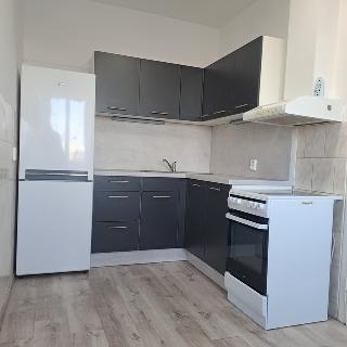 Pronájem bytu 1+1 42 m² Znojmo, 