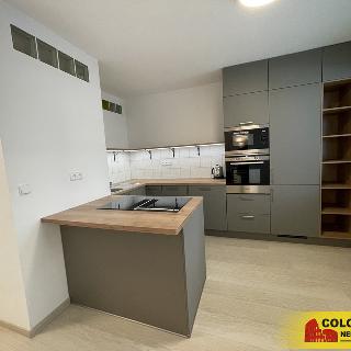 Pronájem bytu 2+1 58 m² Brno, Valouškova