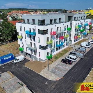 Pronájem bytu 1+kk a garsoniéry 25 m² Znojmo, Vídeňská třída