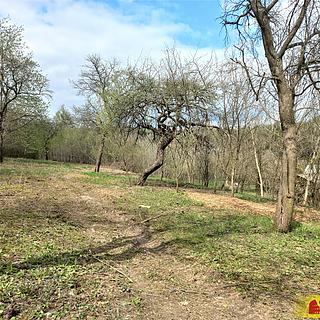 Prodej zahrady 2519 m² Lysice