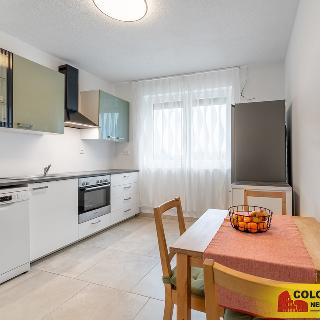 Prodej bytu 3+1 89 m² Hrušovany nad Jevišovkou, 