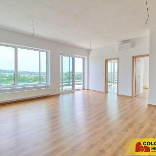 Pronájem bytu 4+kk 96 m² Znojmo