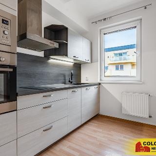 Prodej bytu 1+kk a garsoniéry 37 m² Olomouc, 