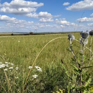 Prodej komerčního pozemku 22332 m&sup2; Znojmo