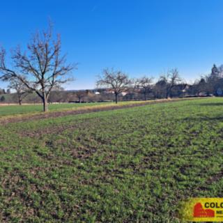 Prodej zemědělské půdy 4979 m² Štěchov