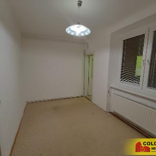 Pronájem bytu 2+kk 57 m² Brno, 