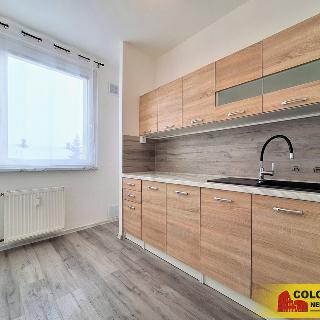 Pronájem bytu 2+1 46 m² Rýmařov, 