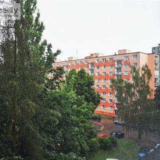 Pronájem bytu 2+1 64 m² Plzeň, Lábkova