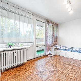 Pronájem bytu 1+1 40 m² Praha, 