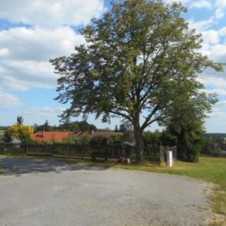 Prodej stavební parcely 1 314 m² Borovany, 