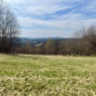 Pronájem stavební parcely 4 241 m² Velké Hamry, 