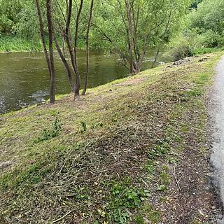 Prodej ostatních pozemků 86 m&sup2; Stříbrná Skalice