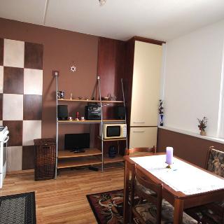 Prodej bytu 3+1 69 m² Písek, 