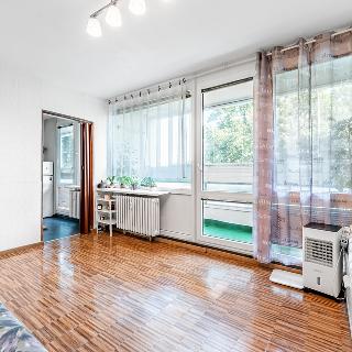 Prodej bytu 1+1 40 m² Praha