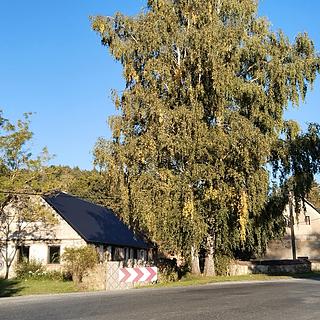 Prodej zemědělské usedlosti 240 m&sup2; Třebčice