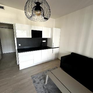 Pronájem bytu 1+kk a garsoniéry 36 m² Praha, 