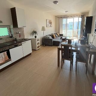 Pronájem bytu 2+kk 60 m² Chýně, 